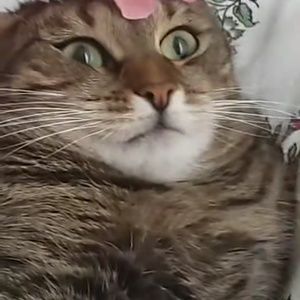 Meet your Posher, Lola